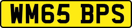 WM65BPS