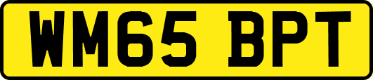 WM65BPT