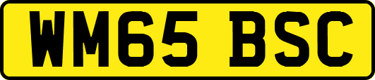 WM65BSC