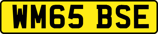 WM65BSE