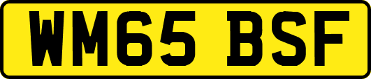 WM65BSF