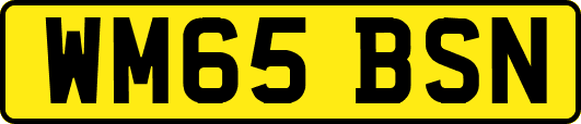 WM65BSN