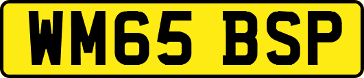 WM65BSP