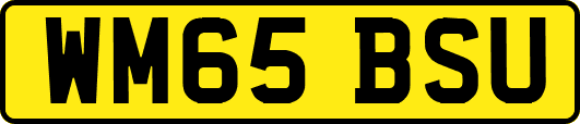 WM65BSU