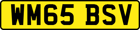 WM65BSV