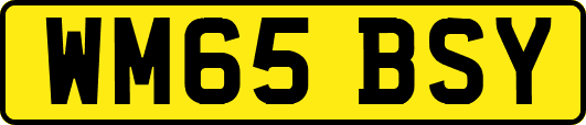 WM65BSY