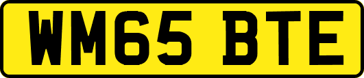 WM65BTE