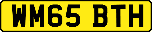 WM65BTH