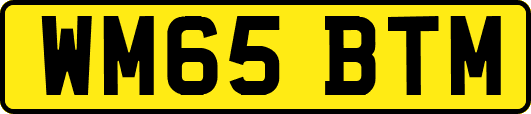 WM65BTM