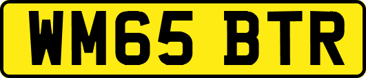 WM65BTR