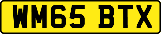 WM65BTX