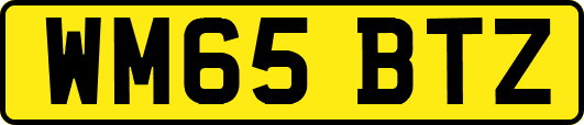 WM65BTZ