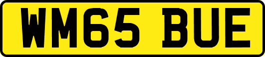 WM65BUE