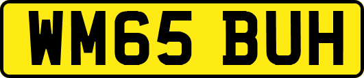 WM65BUH