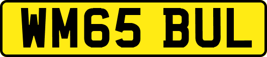 WM65BUL