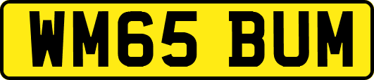 WM65BUM