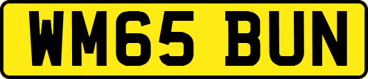 WM65BUN