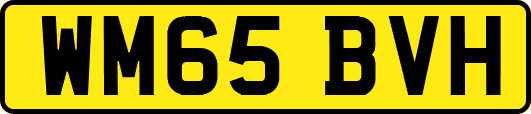 WM65BVH