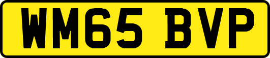 WM65BVP