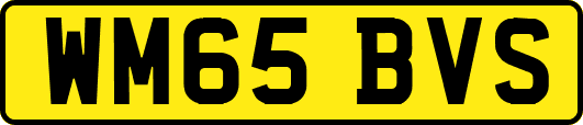 WM65BVS