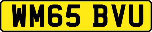 WM65BVU
