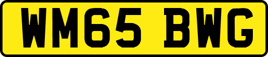 WM65BWG