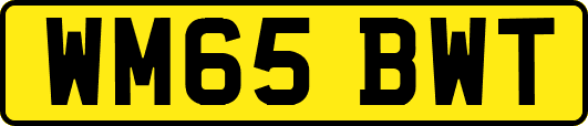 WM65BWT