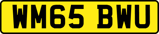 WM65BWU