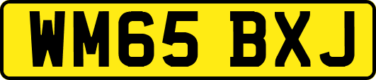 WM65BXJ