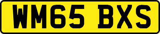 WM65BXS