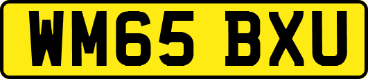 WM65BXU