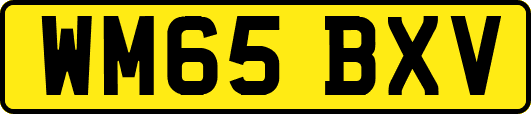 WM65BXV