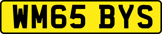 WM65BYS