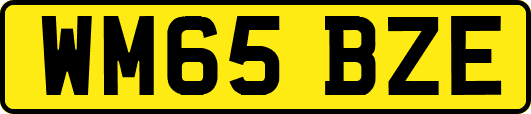 WM65BZE