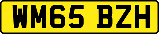 WM65BZH