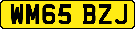 WM65BZJ