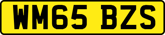 WM65BZS