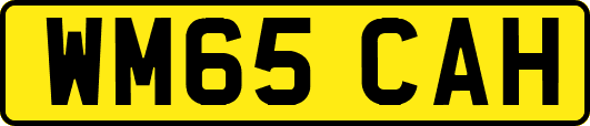 WM65CAH