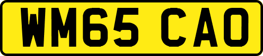 WM65CAO