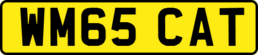 WM65CAT