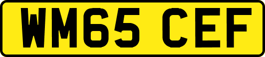 WM65CEF