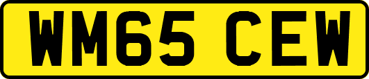 WM65CEW