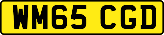 WM65CGD