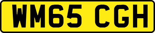WM65CGH