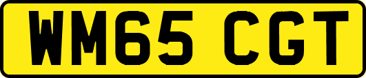 WM65CGT