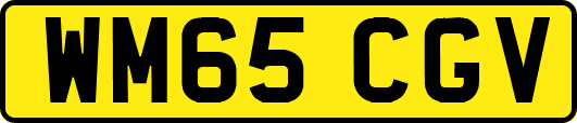 WM65CGV
