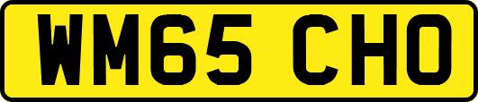 WM65CHO