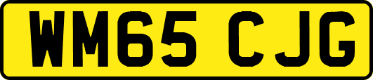 WM65CJG