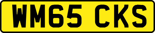 WM65CKS