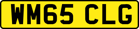 WM65CLG